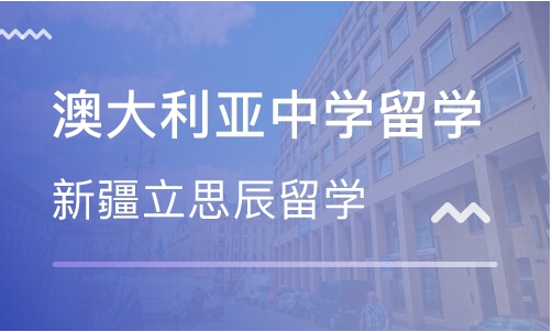 重庆前十美国留学中介排名 留学中介的优势是什么