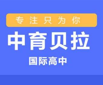 山东青岛市国际高中实力排名一览表推荐--哪家国际学校靠谱 ​