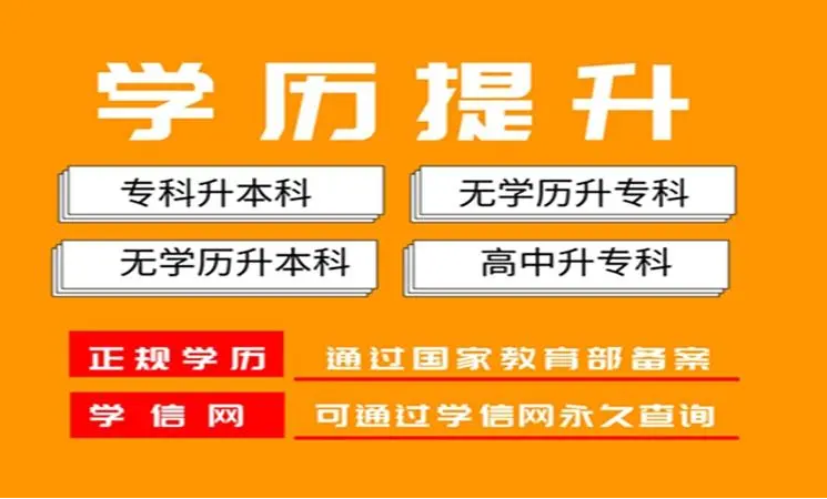 广东惠州专升本线上精品课程辅导机构10大榜单排名一览