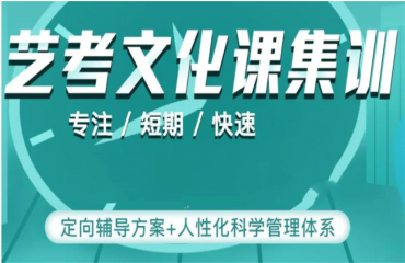 合肥高三艺考生文化课全日制辅导机构名单榜首盘点一览