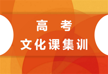 广东广州top10高三艺考文化课集训机构名单汇总