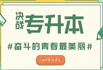 江苏南京专转本培训机构十大排名更新榜一览