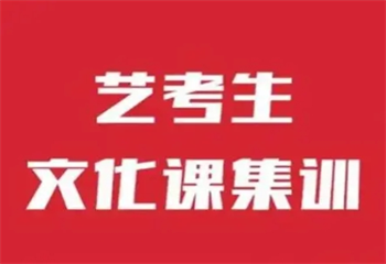 TOP10广东全日制高三艺考文化课集训辅导机构榜单更新一览