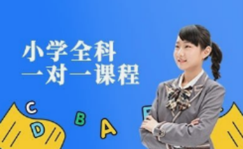 小学一对一课程辅导