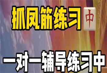 泰国抓龙筋、抓凤筋手法技术培训班