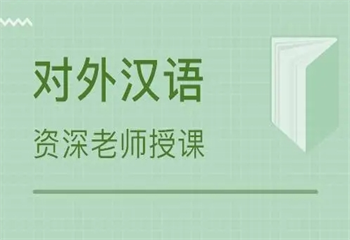 国内7大对外汉语1对1课程师资强的培训机构排名汇总