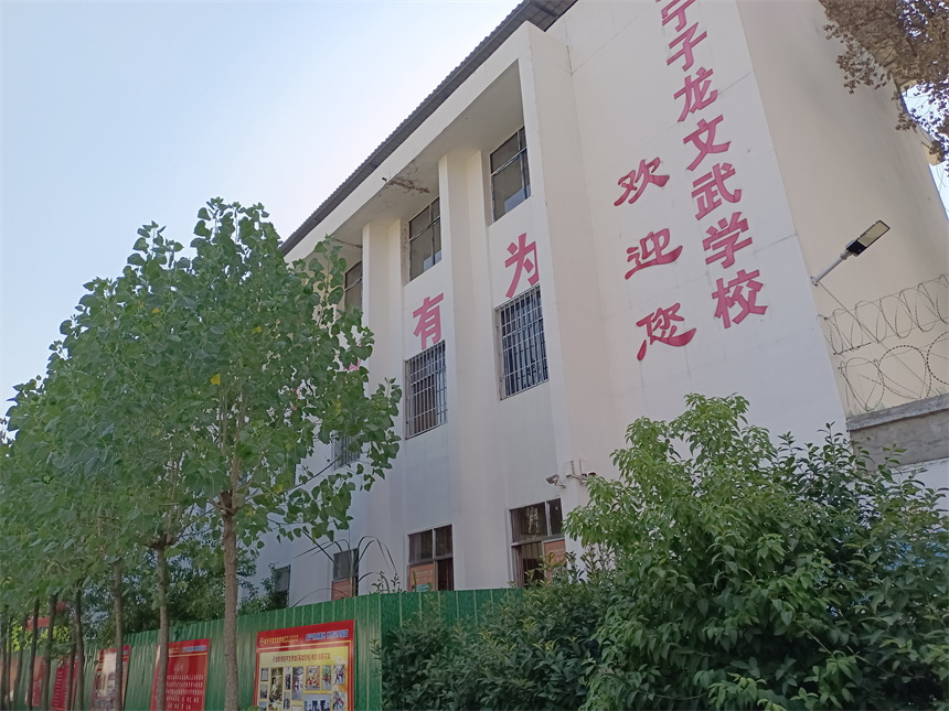 子龙文武叛逆学校环境