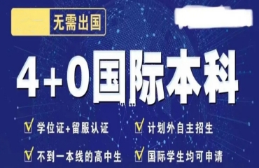 山东十大中外合作办学4+0国际本科申请机构名单一览