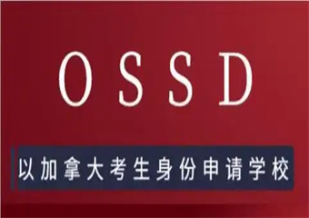 合肥安徽十大OSSD国际课程反响好的培训机构前精选排名一览