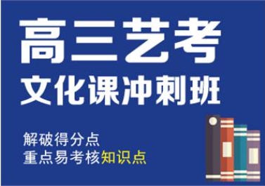 广东深圳高考艺考文化课全托集训机构10大排名榜